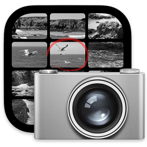 Application Transfert d’images sur Mac pour récupérer les photos d’un iPhone